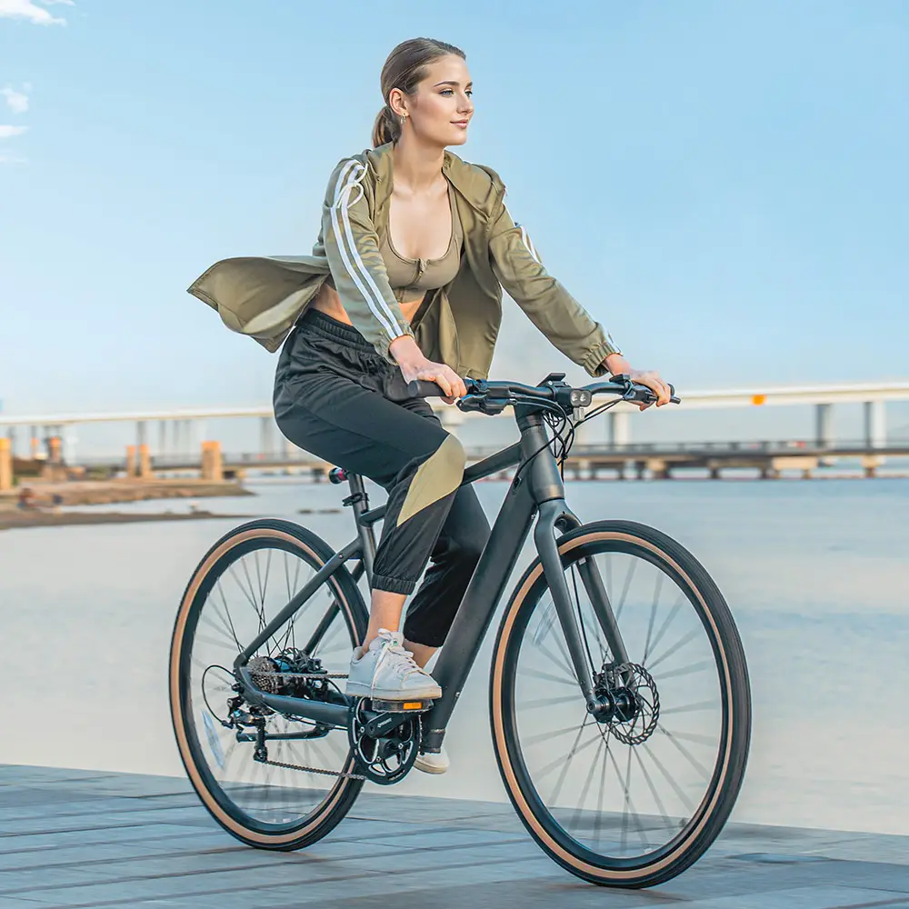Fiido C21 Gravel & City E-Bike - Image 4