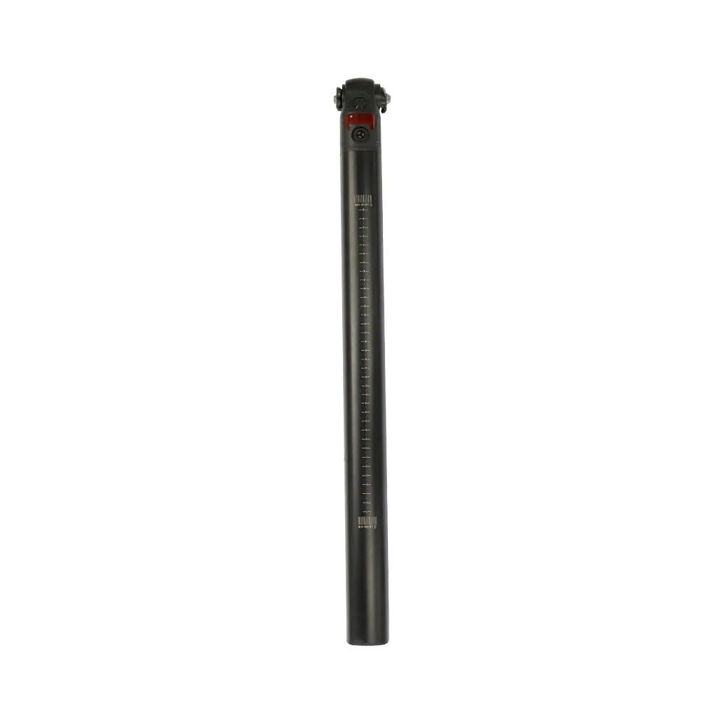 Additional Fiido Electric Bike Battery for D21