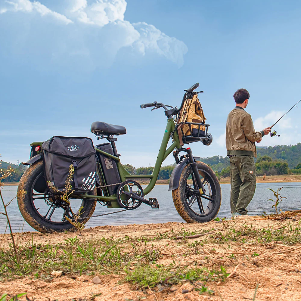 Fiido T1 Pro Utility Electric Bike - Image 5