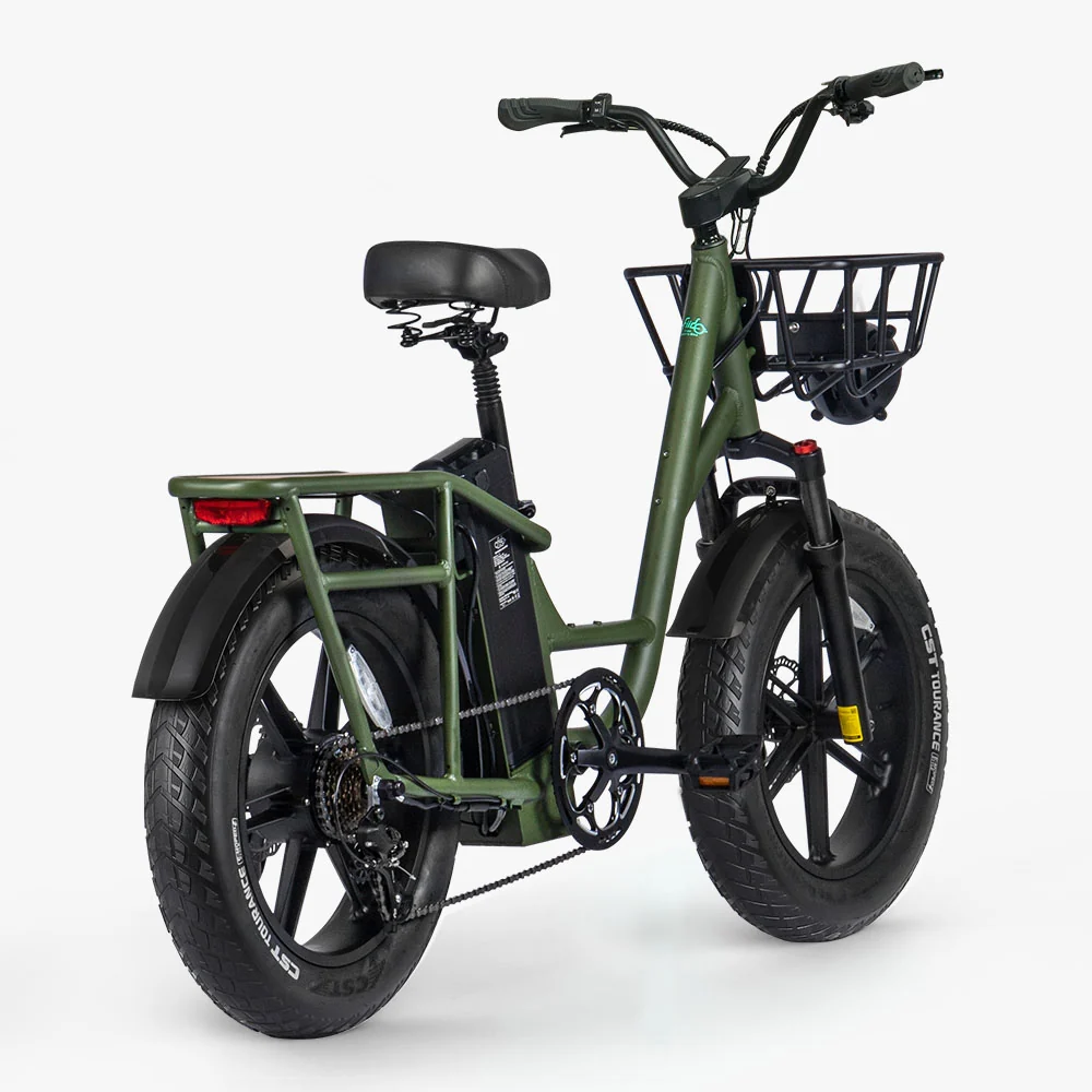 Fiido T1 Pro Utility Electric Bike - Image 8