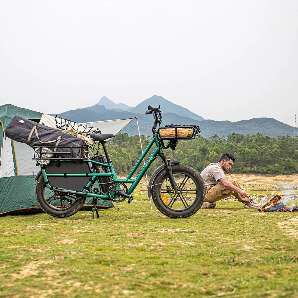 Fiido T2 Electric Cargo Bike: 440 lbs Payload, 85 Miles Long Range - Image 5